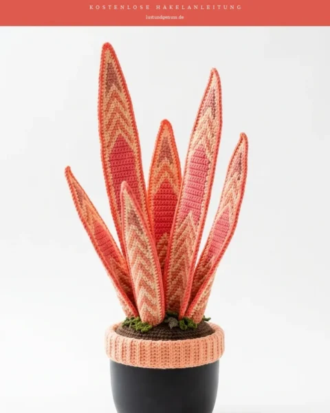 Korallenfarbene Sansevieria häkeln – Amigurumi-Anleitung